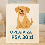 Apartament Nadmorski Bursztyn - Dębina