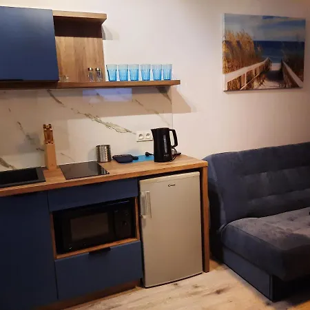 Nadmorski Bursztyn - Debina *