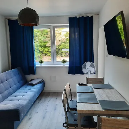 Nadmorski Bursztyn - Dębina