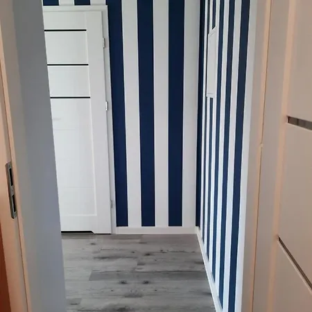 Nadmorski Bursztyn - Dębina