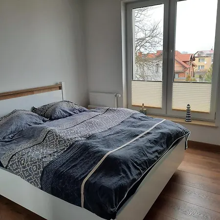 Nadmorski Bursztyn - Dębina *