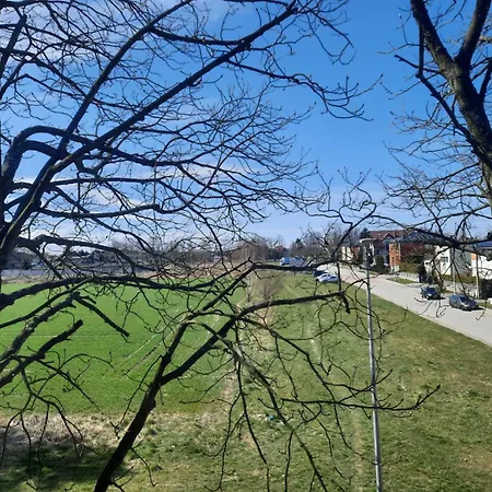 Nadmorski Bursztyn - Dębina Debina (Ustka)