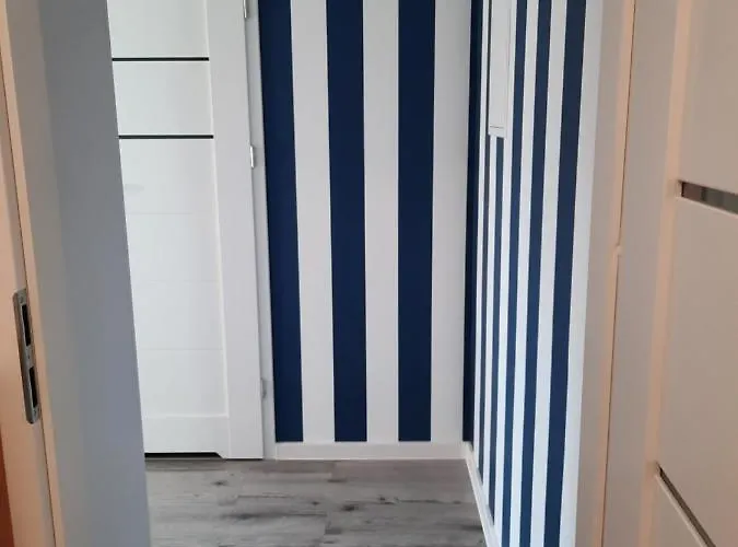 Nadmorski Bursztyn - Debina